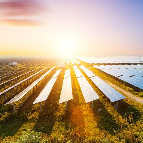 Muhtasari wa Sekta ya Photovoltaic ya China: Kuanzia Januari hadi Novemba, uwezo wa photovoltaic uliowekwa ulifikia kilowati 163.8